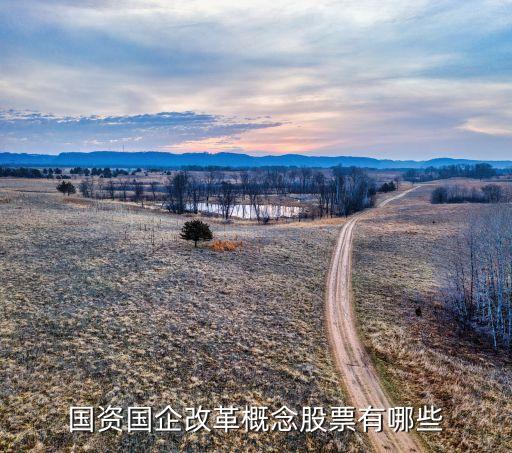 綠地地產借殼金豐投資,綠地集團借殼金豐投資收購方式的設計