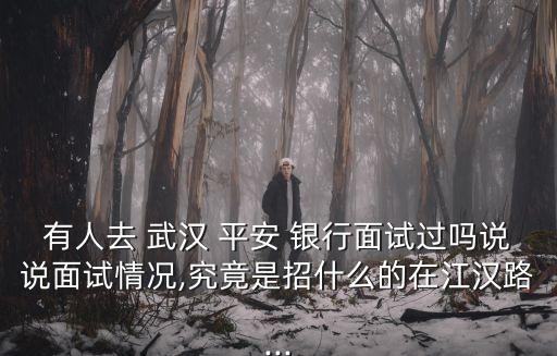 有人去 武漢 平安 銀行面試過(guò)嗎說(shuō)說(shuō)面試情況,究竟是招什么的在江漢路...