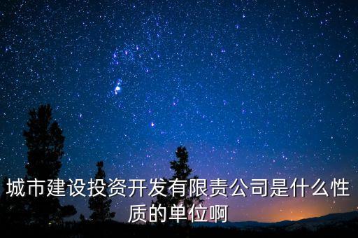 城市建設投資開發(fā)有限責公司是什么性質(zhì)的單位啊