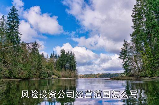 風(fēng)險(xiǎn)投資公司經(jīng)營(yíng)范圍怎么寫(xiě)