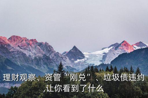 理財(cái)觀察、資管“剛兌”、垃圾債違約,讓你看到了什么