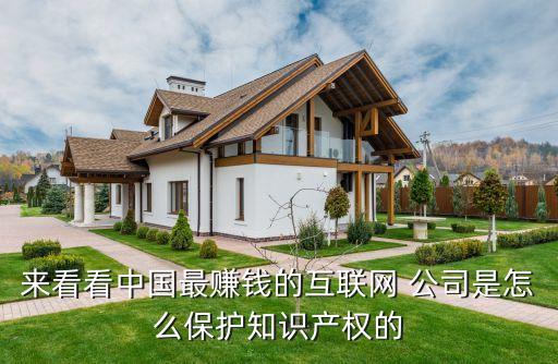 來看看中國最賺錢的互聯(lián)網(wǎng) 公司是怎么保護知識產權的