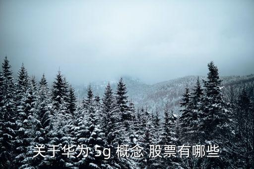 關于華為 5g 概念 股票有哪些