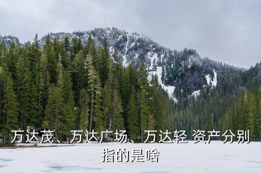 萬達(dá)茂、萬達(dá)廣場、萬達(dá)輕 資產(chǎn)分別指的是啥