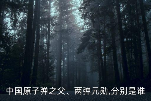 中國原子彈之父、兩彈元勛,分別是誰