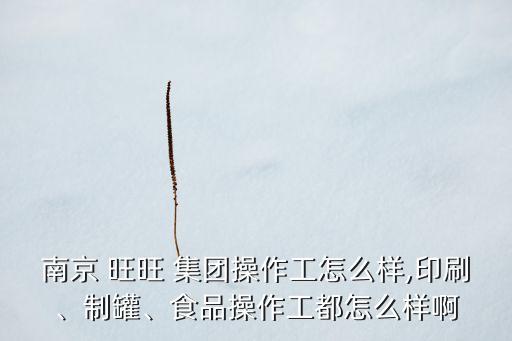 南京 旺旺 集團(tuán)操作工怎么樣,印刷、制罐、食品操作工都怎么樣啊