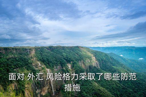 規(guī)避外匯風險銀行金融產(chǎn)品,如何利用金融衍生品規(guī)避外匯風險