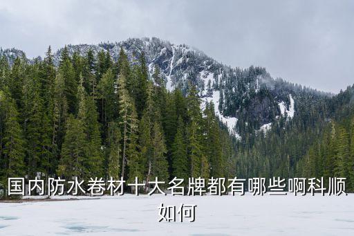 國內防水卷材十大名牌都有哪些啊科順如何