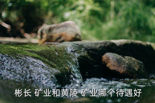 陜西彬長礦業(yè)集團有限公司煤化工公司,2、陜西彬長礦業(yè)集團有限公司