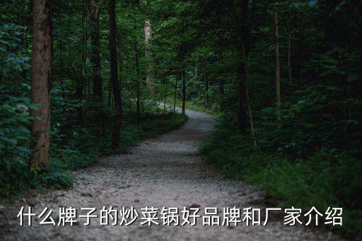 什么牌子的炒菜鍋好品牌和廠(chǎng)家介紹