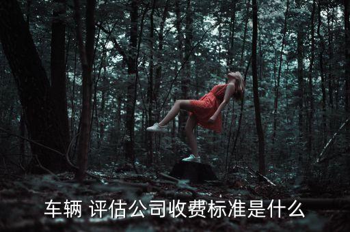 車輛 評(píng)估公司收費(fèi)標(biāo)準(zhǔn)是什么
