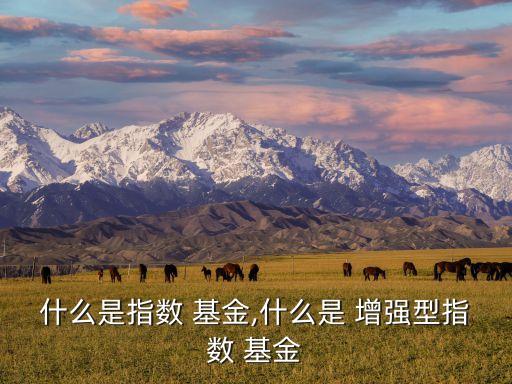 增強型基金目標(biāo)客戶,基金銷售目標(biāo)客戶市場細(xì)分
