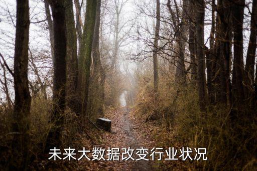 未來大數據改變行業(yè)狀況