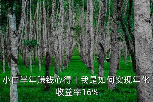 小白半年賺錢(qián)心得丨我是如何實(shí)現(xiàn)年化 收益率16%