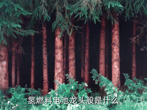長盈精密股票激勵(lì)計(jì)劃,長盈激勵(lì)股票最新人員名單