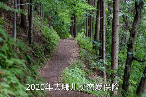 2020年去哪兒買(mǎi)戀愛(ài)保險(xiǎn)