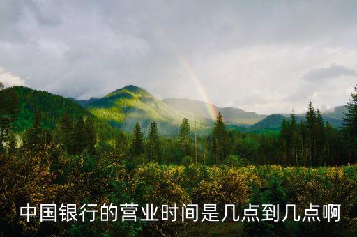  中國銀行的營業(yè)時(shí)間是幾點(diǎn)到幾點(diǎn)啊