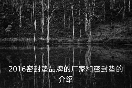 2016密封墊品牌的廠(chǎng)家和密封墊的介紹