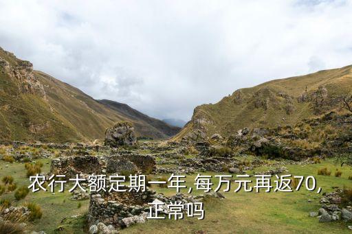 農行大額定期一年,每萬元再返70,正常嗎