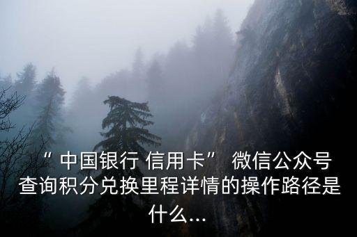 “ 中國銀行 信用卡” 微信公眾號(hào) 查詢積分兌換里程詳情的操作路徑是什么...
