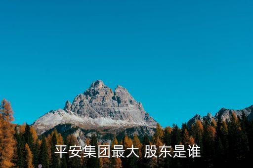  平安集團(tuán)最大 股東是誰(shuí)