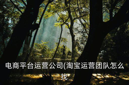 杭州億茲軟件有限公司,杭州壹網壹創(chuàng)科技股份有限公司