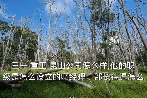 三一 重工 昆山公司怎么樣,他的職級是怎么設(shè)立的啊經(jīng)理、部長待遇怎么...