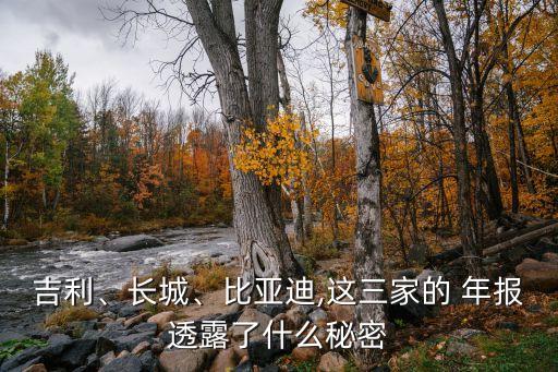 吉利、長城、比亞迪,這三家的 年報透露了什么秘密