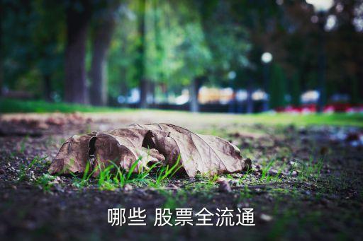 原來(lái)的長(zhǎng)豐汽車(chē)股票