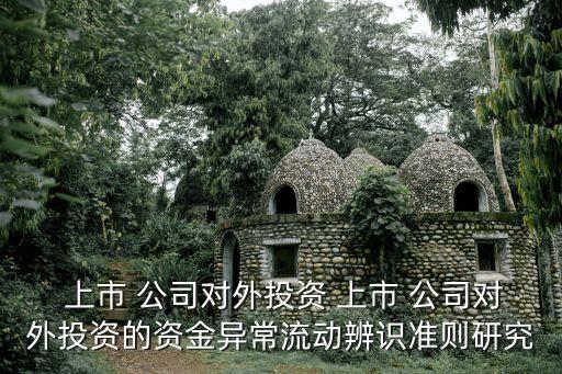  上市 公司對外投資 上市 公司對外投資的資金異常流動(dòng)辨識準(zhǔn)則研究
