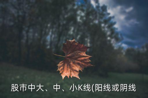 股市中大、中、小K線(陽線或陰線