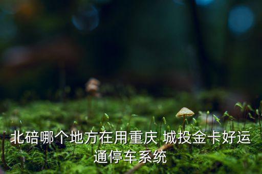 北碚哪個(gè)地方在用重慶 城投金卡好運(yùn)通停車(chē)系統(tǒng)
