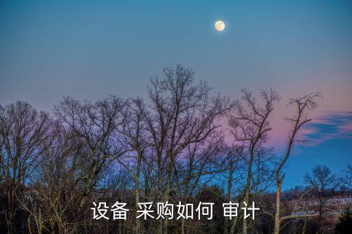 設(shè)備 采購如何 審計