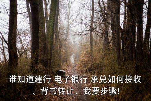 誰知道建行 電子銀行 承兌如何接收、背書轉(zhuǎn)讓、我要步驟!