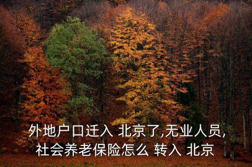  外地戶口遷入 北京了,無業(yè)人員,社會養(yǎng)老保險(xiǎn)怎么 轉(zhuǎn)入 北京