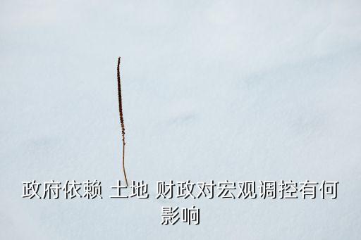 政府依賴 土地 財(cái)政對宏觀調(diào)控有何影響