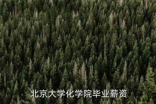 北京大學就業(yè)工資