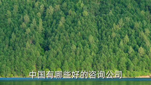 中國(guó)有哪些好的咨詢(xún)公司