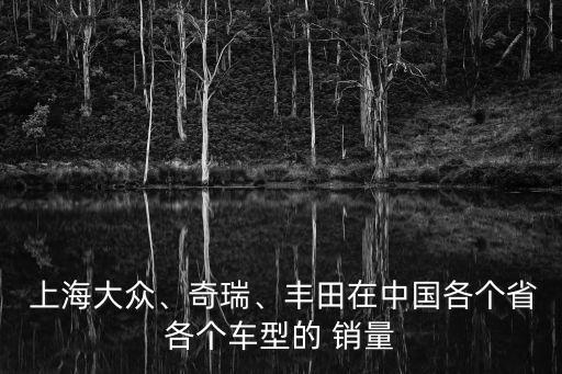  上海大眾、奇瑞、豐田在中國(guó)各個(gè)省各個(gè)車型的 銷量