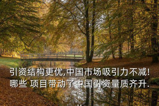 引資結(jié)構(gòu)更優(yōu),中國市場吸引力不減!哪些 項(xiàng)目帶動(dòng)了中國引資量質(zhì)齊升...