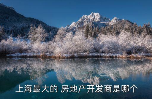  上海最大的 房地產(chǎn)開(kāi)發(fā)商是哪個(gè)