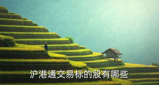 上?？菩窆善?上海建科股票發(fā)行價是多少