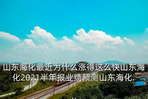 純堿行業(yè)上市公司,生產純堿的龍頭上市公司