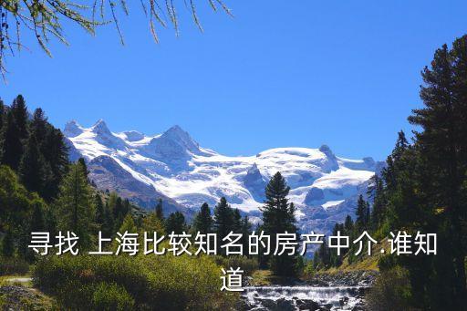 尋找 上海比較知名的房產(chǎn)中介.誰(shuí)知道