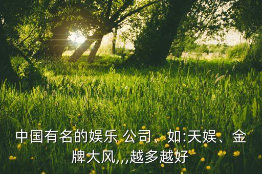 中國有名的娛樂 公司、如:天娛、金牌大風(fēng),,,越多越好