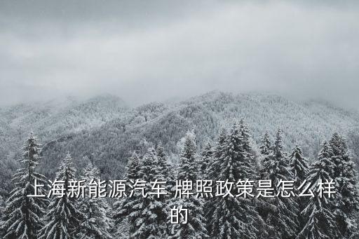  上海新能源汽車(chē) 牌照政策是怎么樣的