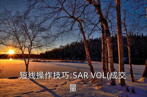 短線(xiàn)操作技巧:SAR VOL(成交量