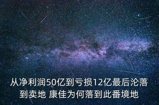 安徽康佳電器有限公司總經理,康佳生態(tài)投資發(fā)展有限公司總經理