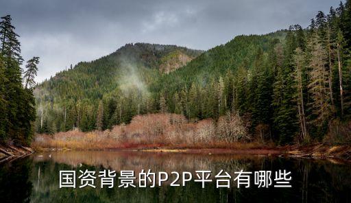 國資背景的P2P平臺(tái)有哪些