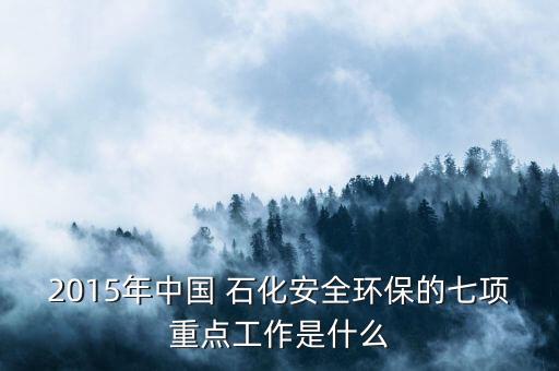 2015年中國 石化安全環(huán)保的七項重點(diǎn)工作是什么